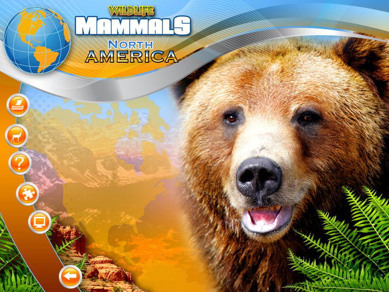 Wildlife Creative Studio <span class="ext" style="background-color: #2a475e; color: #FFFFFF;">STEAM</span> <span class="ext ext_digital">digital</span> image 4