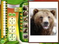 Wildlife Creative Studio <span class="ext" style="background-color: #2a475e; color: #FFFFFF;">STEAM</span> <span class="ext ext_digital">digital</span> thumbnail 5