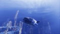 Depth <span class="ext" style="background-color: #2a475e; color: #FFFFFF;">STEAM</span> <span class="ext ext_digital">digital</span> thumbnail 9