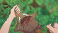 My Aunt is a Witch [Limited Edition] <span class="ext ext_LE">LE</span> <span class="ext" style="background-color: #003082; color: #FFFFFF;">PLAY EXCLUSIVES</span> thumbnail 7