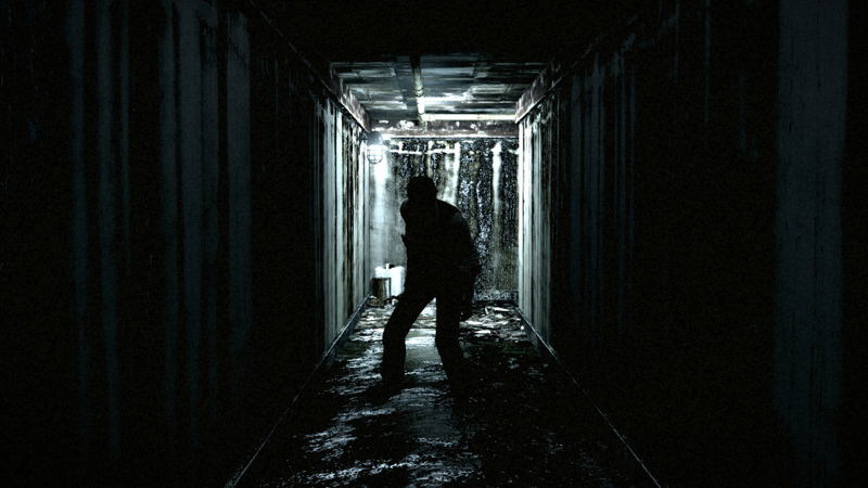 The Evil Within Bundle <span class="ext" style="background-color: #2a475e; color: #FFFFFF;">STEAM</span> <span class="ext ext_digital">digital</span> image 5