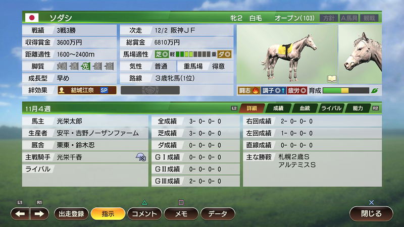 Winning Post 9 2021 image 3