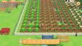 Story of Seasons: Pioneers of Olive Town [Premium Edition] thumbnail 15