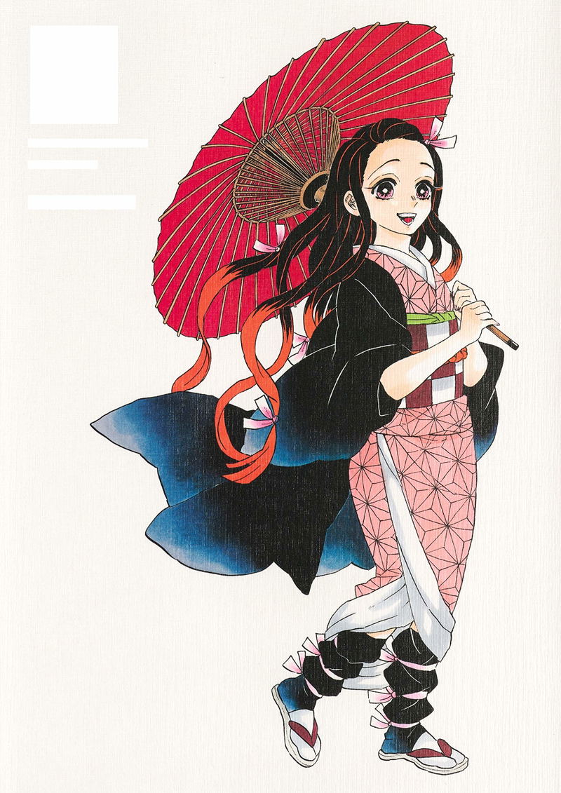 Kimetsu No Yaiba - Koyoharu Gotouge Illustration Collection Many Months And Years image 2
