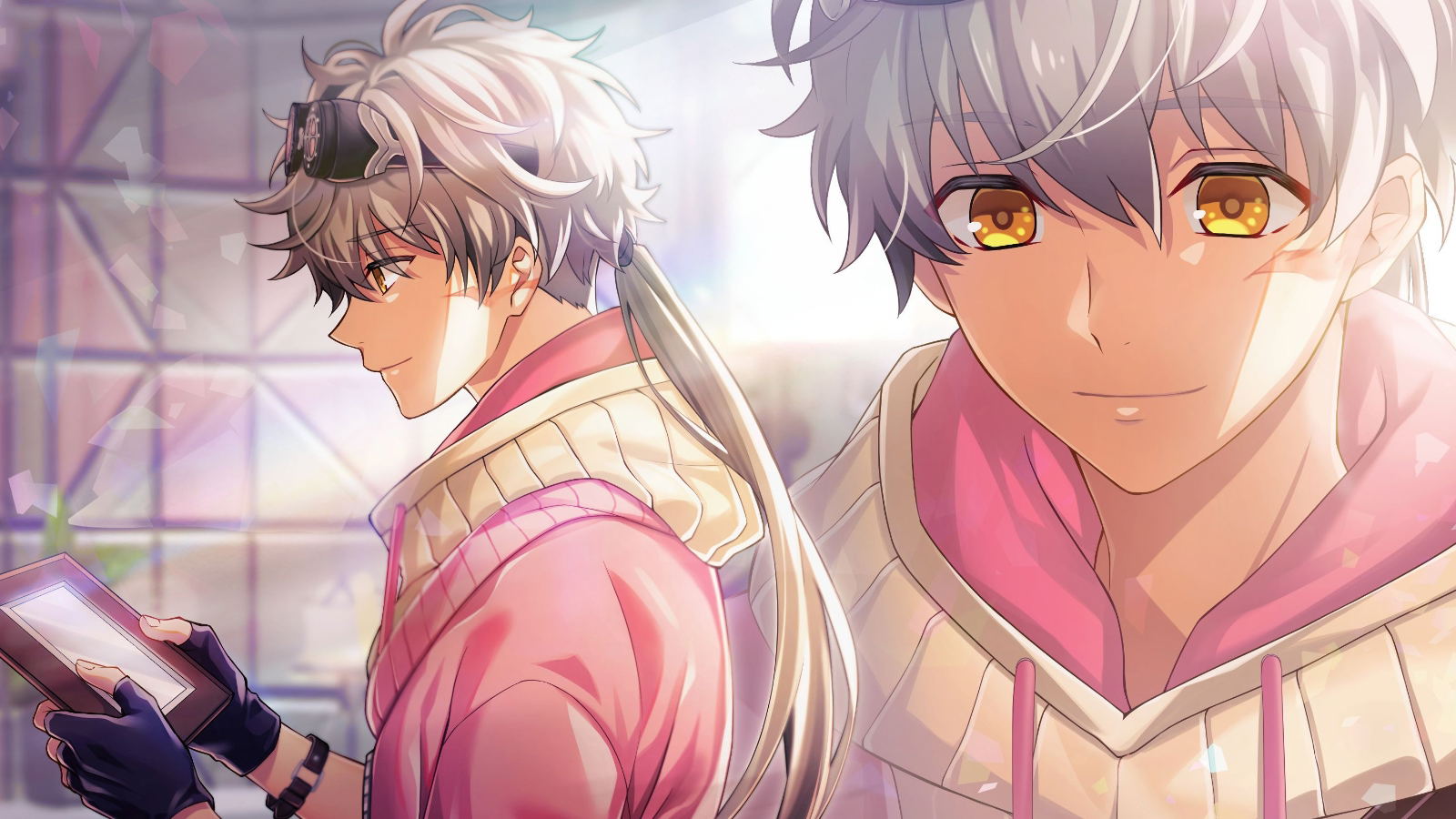 Angelique Luminarise for Nintendo Switch, Nintendo Switch 2