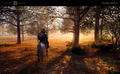 Crimson Desert thumbnail 12