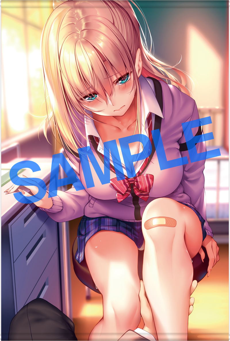 GOT Tapestry Collection 316 SiStart! B B2 Wall Scroll image 1