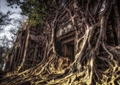 The Closest Place To Another World - A Real Scene Like A fantasy Game, Anime, Or Light Novel thumbnail 2