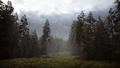 Hunting Simulator 2 thumbnail 13