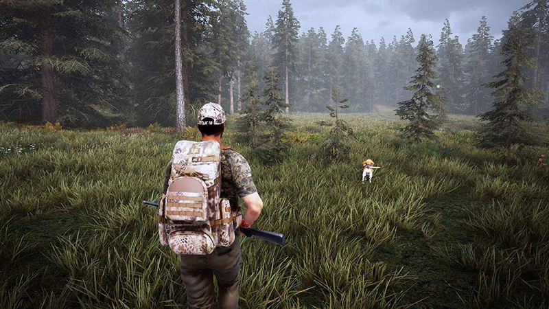 Hunting Simulator 2 image 14