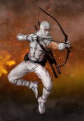 G.I. Joe 1/6 Scale Action Figure: Storm Shadow thumbnail 8