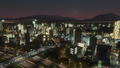 Cities: Skylines - City Startup Bundle <span class="ext" style="background-color: #2a475e; color: #FFFFFF;">STEAM</span> <span class="ext ext_digital">digital</span> thumbnail 8
