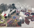 Dragon Gyas Board Game thumbnail 7