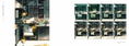 Kukka Illustrations thumbnail 4