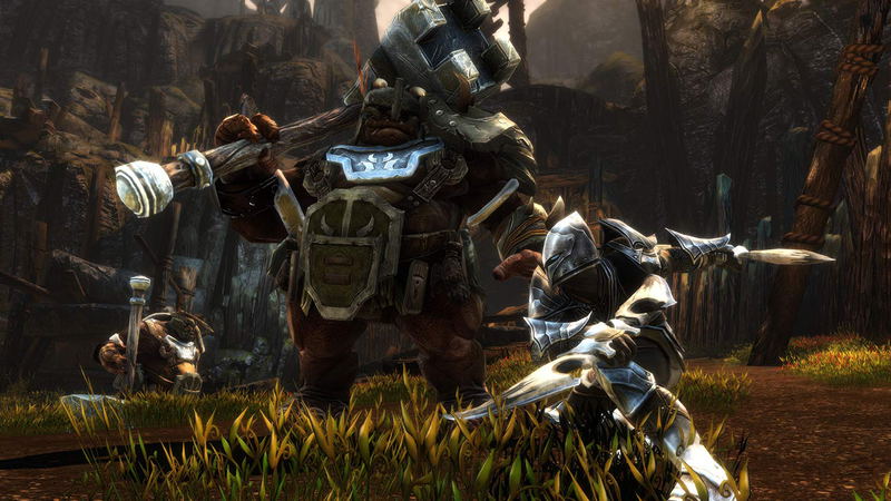 Kingdoms of Amalur: Re-Reckoning image 8