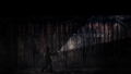 Silence of the Sleep <span class="ext" style="background-color: #2a475e; color: #FFFFFF;">STEAM</span> <span class="ext ext_digital">digital</span> thumbnail 10