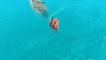 Pirates of the Polygon Sea <span class="ext" style="background-color: #2a475e; color: #FFFFFF;">STEAM</span> <span class="ext ext_digital">digital</span> thumbnail 8