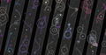 One More Line <span class="ext" style="background-color: #2a475e; color: #FFFFFF;">STEAM</span> <span class="ext ext_digital">digital</span> thumbnail 4