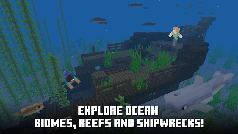 Minecraft (Starter Collection) <span class="ext ext_digital">digital</span> image 12