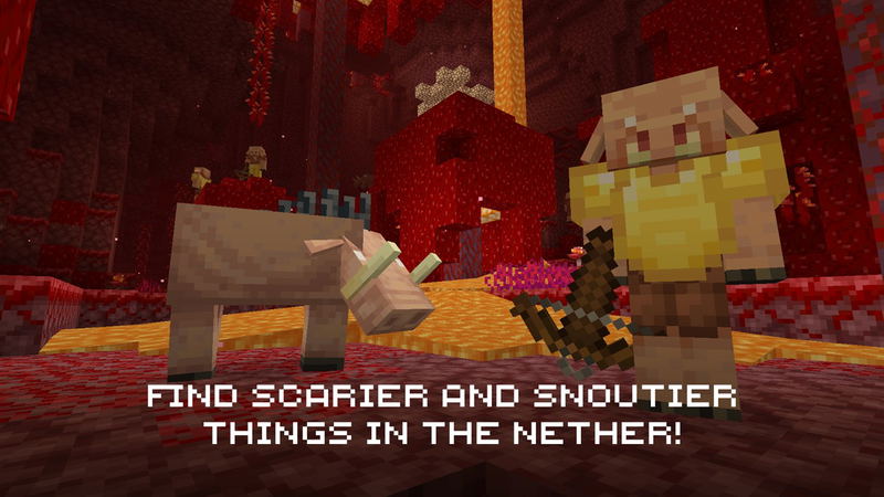 Minecraft (Starter Collection) <span class="ext ext_digital">digital</span> image 6
