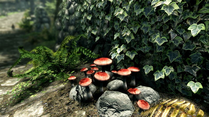 The Elder Scrolls V: Skyrim (Special Edition) <span class="ext ext_digital">digital</span> image 11