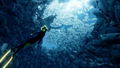 Abzu <span class="ext ext_digital">digital</span> thumbnail 11