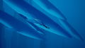 Abzu <span class="ext ext_digital">digital</span> thumbnail 2