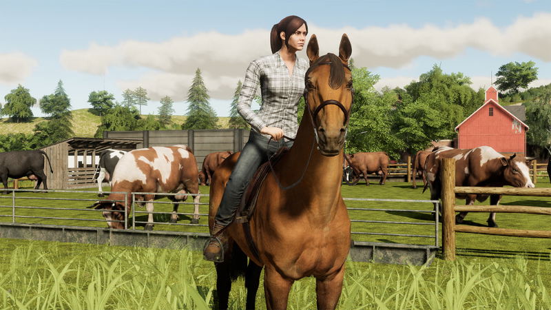 Farming Simulator 19 (Premium Edition) <span class="ext" style="background-color: #2a475e; color: #FFFFFF;">STEAM</span> <span class="ext ext_digital">digital</span> image 4