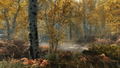 The Elder Scrolls V: Skyrim (Special Edition) <span class="ext ext_digital">digital</span> thumbnail 6