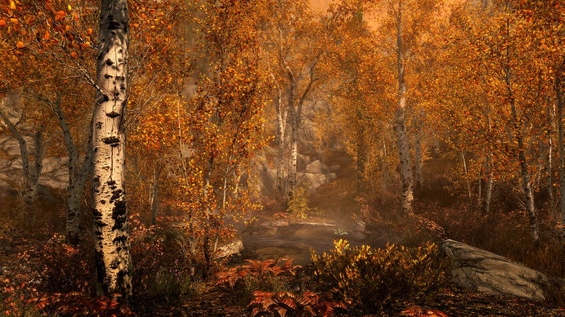 The Elder Scrolls V: Skyrim (Special Edition) <span class="ext ext_digital">digital</span> image 8