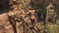 Rise of the Tomb Raider: 20 Year Celebration <span class="ext ext_digital">digital</span> thumbnail 3