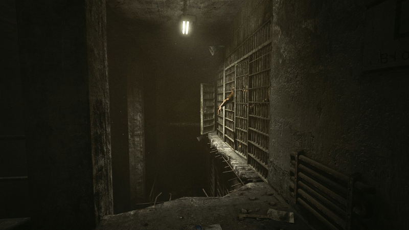 Outlast: Bundle of Terror <span class="ext ext_digital">digital</span> image 5