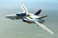 Variable Fighter Master File VF-1S Roy Focker Special thumbnail 2