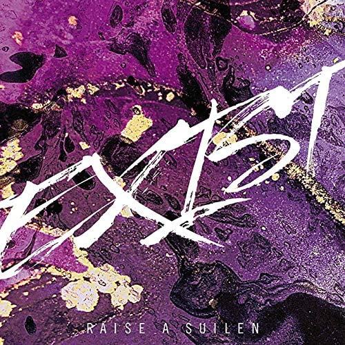 Exist [w/ Blu-ray, Limited Edition] (Raise A Suilen)