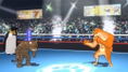 Fight of Animals (English) thumbnail 5