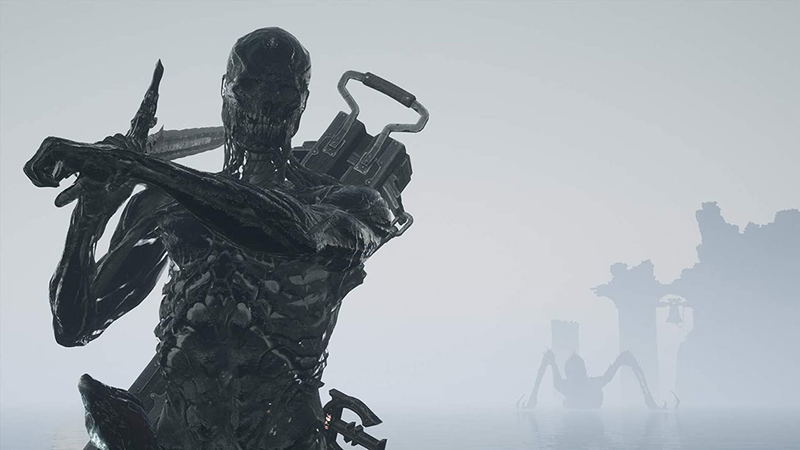 Mortal Shell [Enhanced Edition Deluxe Set] image 6
