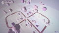 Drive Drive Drive <span class="ext ext_digital">digital</span> thumbnail 9