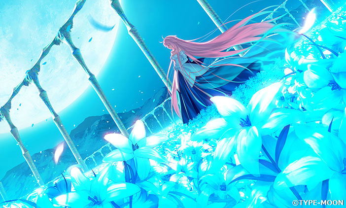 heyco　月姫 A piece of blue glass moon Tsukihime -A Piece of Blue Glass Moon- [Limited Edition] for