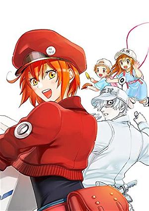 Cells At Work! Illustrations