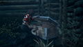 Dead by Daylight: A Binding of Kin (DLC) <span class="ext" style="background-color: #B0000F; color: #FFFFFF;">DLC</span> <span class="ext" style="background-color: #2a475e; color: #FFFFFF;">STEAM</span> <span class="ext ext_digital">digital</span> thumbnail 5