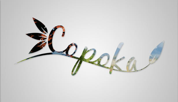 Copoka STEAM digital — Import Game Deal