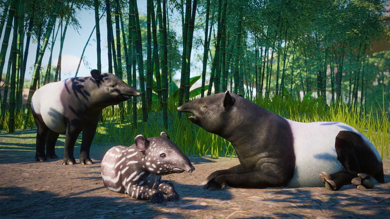 Planet Zoo: Southeast Asia Animal Pack (DLC) <span class="ext" style="background-color: #B0000F; color: #FFFFFF;">DLC</span> <span class="ext" style="background-color: #2a475e; color: #FFFFFF;">STEAM</span> <span class="ext ext_digital">digital</span> image 10