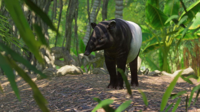 Planet Zoo: Southeast Asia Animal Pack (DLC) <span class="ext" style="background-color: #B0000F; color: #FFFFFF;">DLC</span> <span class="ext" style="background-color: #2a475e; color: #FFFFFF;">STEAM</span> <span class="ext ext_digital">digital</span> image 4