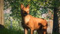 Planet Zoo: Southeast Asia Animal Pack (DLC) <span class="ext" style="background-color: #B0000F; color: #FFFFFF;">DLC</span> <span class="ext" style="background-color: #2a475e; color: #FFFFFF;">STEAM</span> <span class="ext ext_digital">digital</span> thumbnail 6