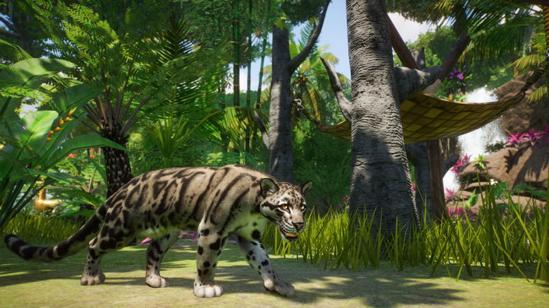 Planet Zoo: Southeast Asia Animal Pack (DLC) <span class="ext" style="background-color: #B0000F; color: #FFFFFF;">DLC</span> <span class="ext" style="background-color: #2a475e; color: #FFFFFF;">STEAM</span> <span class="ext ext_digital">digital</span> image 7