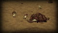 Don't Starve Together <span class="ext" style="background-color: #2a475e; color: #FFFFFF;">STEAM</span> <span class="ext ext_digital">digital</span> thumbnail 10