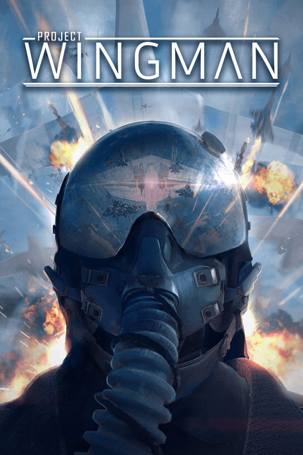 Project Wingman STEAM digital — Import Game Deal