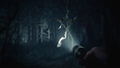 Blair Witch <span class="ext" style="background-color: #2a475e; color: #FFFFFF;">STEAM</span> <span class="ext ext_digital">digital</span> thumbnail 3