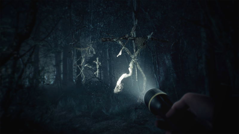 Blair Witch <span class="ext" style="background-color: #2a475e; color: #FFFFFF;">STEAM</span> <span class="ext ext_digital">digital</span> image 3