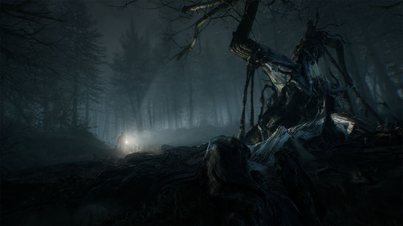 Blair Witch <span class="ext" style="background-color: #2a475e; color: #FFFFFF;">STEAM</span> <span class="ext ext_digital">digital</span> image 7